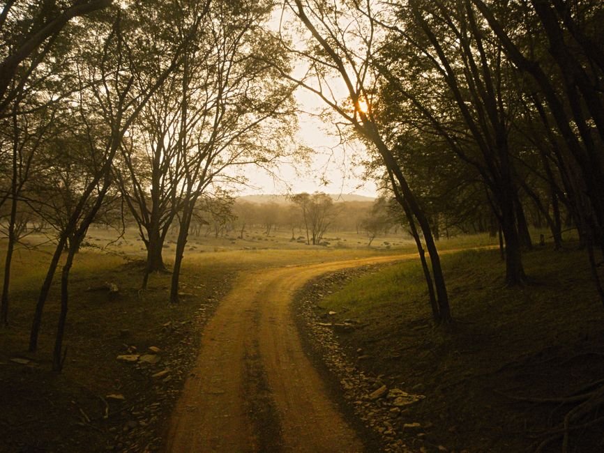 Ranthambore